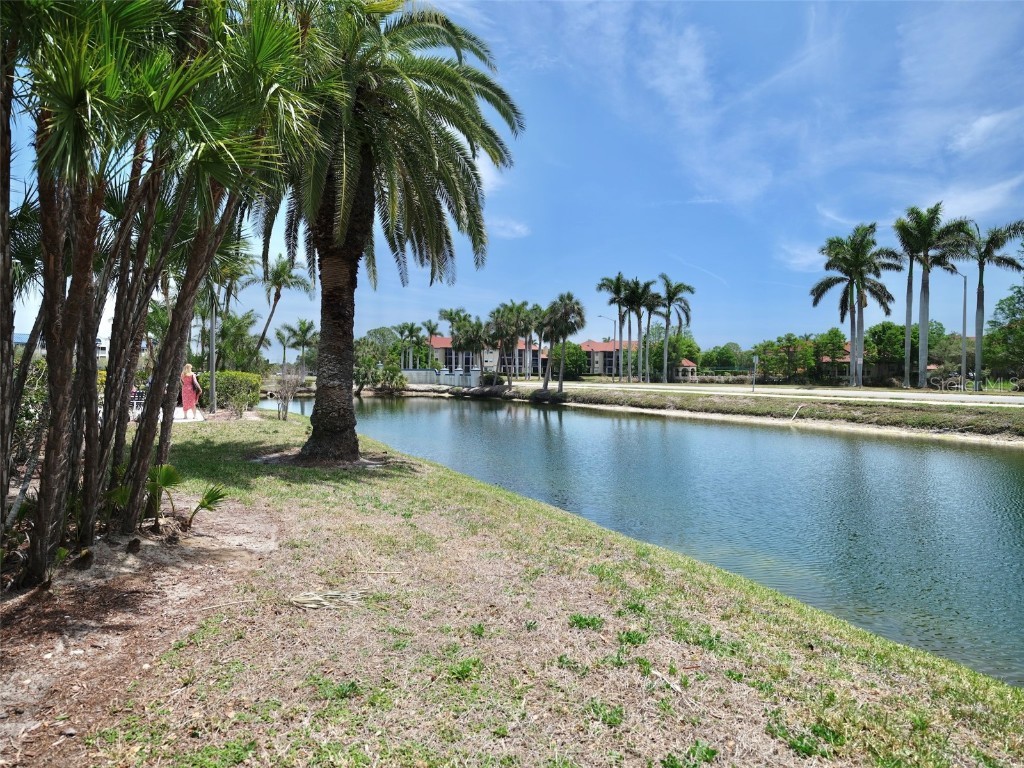 2333 Feather Sound Drive #B309 Clearwater FL 33762 TB8384109 image50