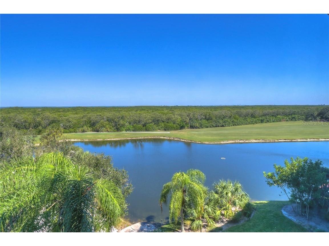 2333 Feather Sound Drive #B501 Clearwater FL 33762 T3413903 image1