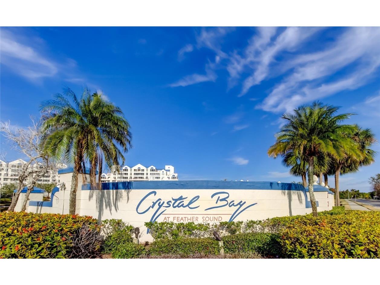 2333 Feather Sound Drive #B503 Clearwater FL 33762 TB8452616 image1