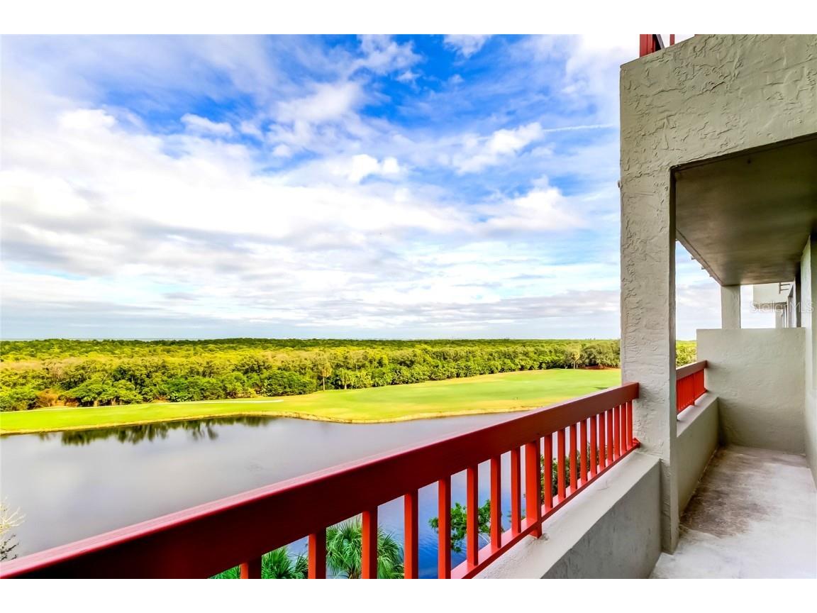 2333 Feather Sound Drive #B503 Clearwater FL 33762 TB8452616 image19