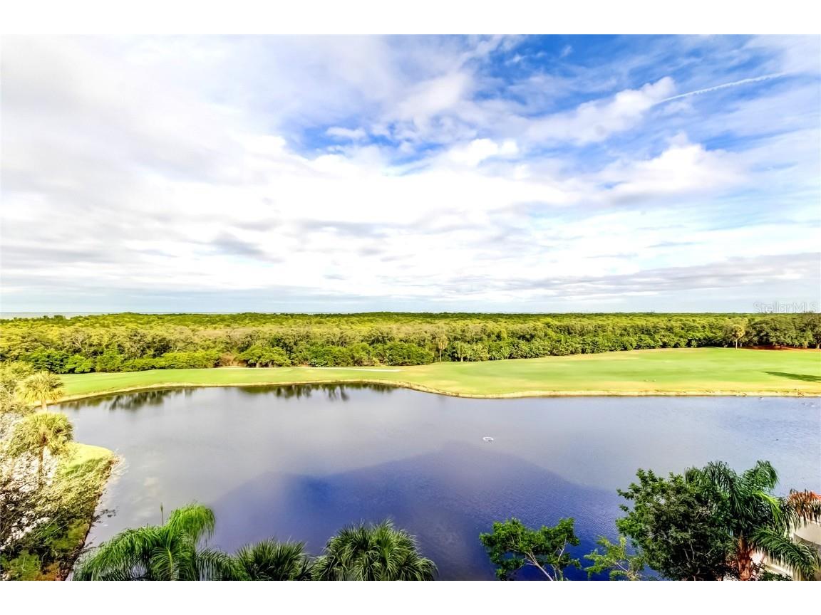 2333 Feather Sound Drive #B503 Clearwater FL 33762 TB8452616 image20