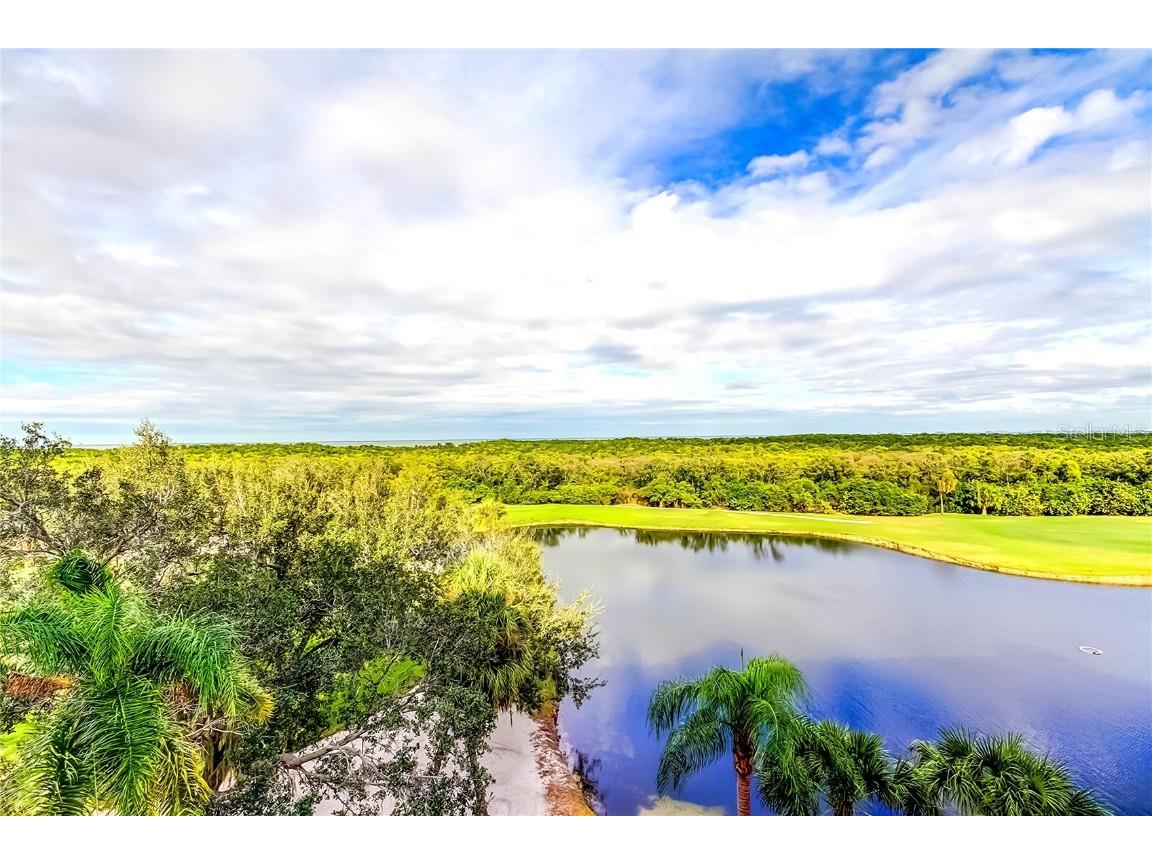 2333 Feather Sound Drive #B503 Clearwater FL 33762 TB8452616 image21