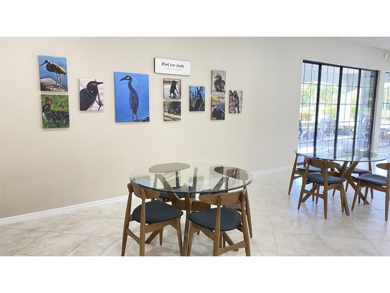 2333 Feather Sound Drive #B503 Clearwater FL 33762 TB8452616 image29