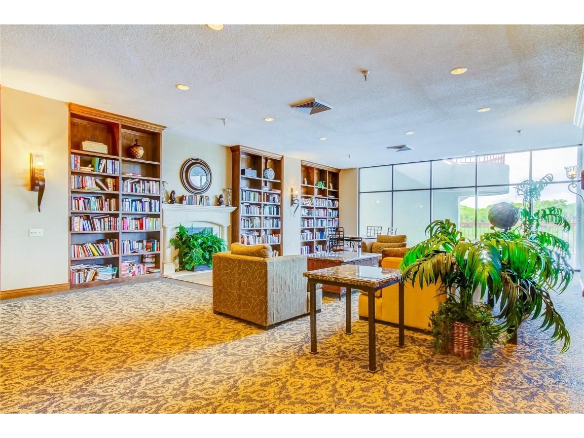 2333 Feather Sound Drive #B503 Clearwater FL 33762 TB8452616 image39