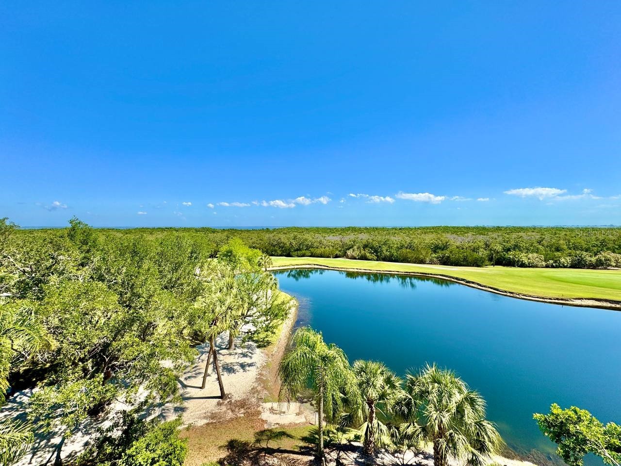 2333 Feather Sound Drive #B503 Clearwater FL 33762 TB8498953 image29