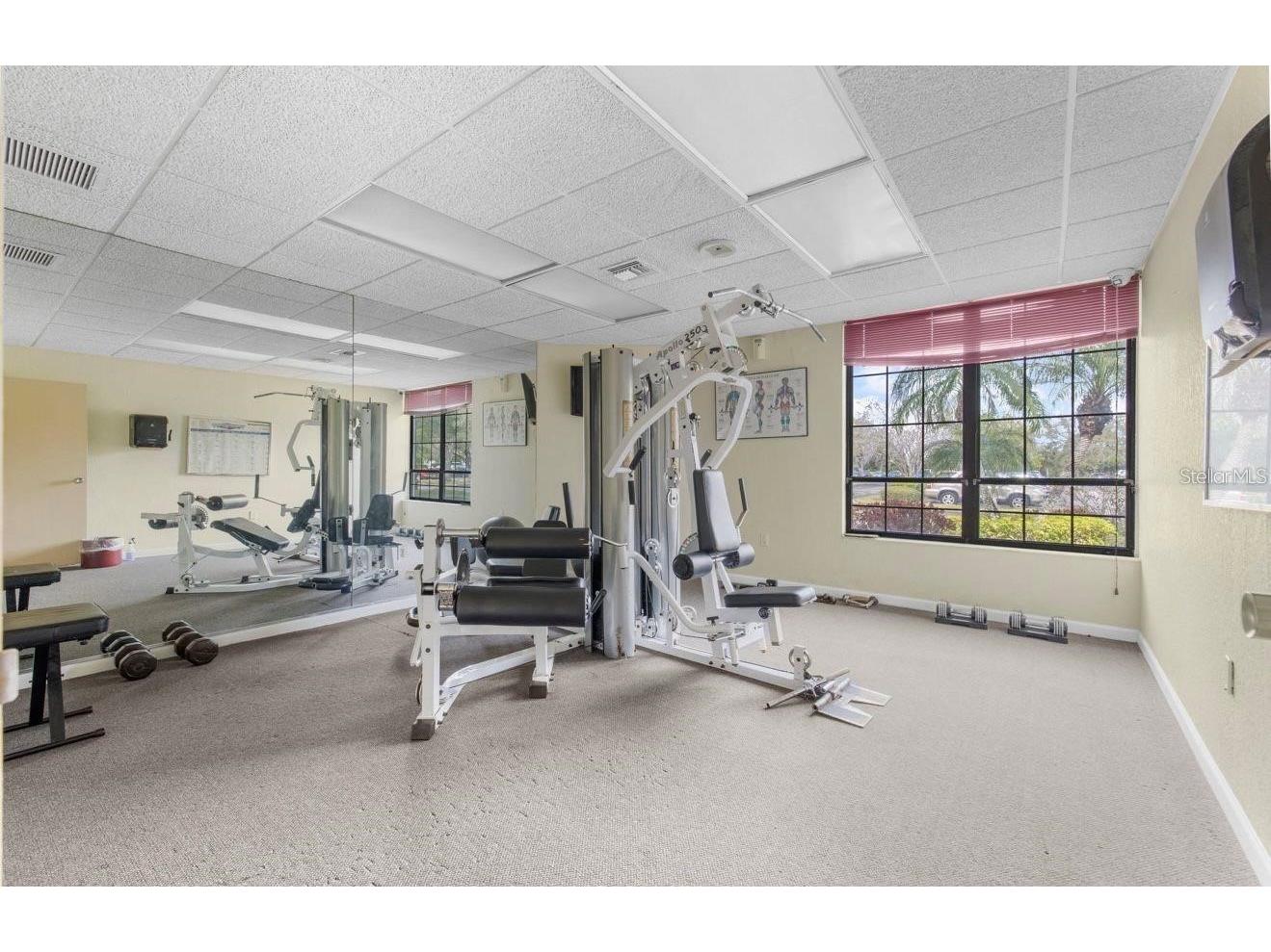 2333 Feather Sound Drive #B503 Clearwater FL 33762 TB8498953 image36