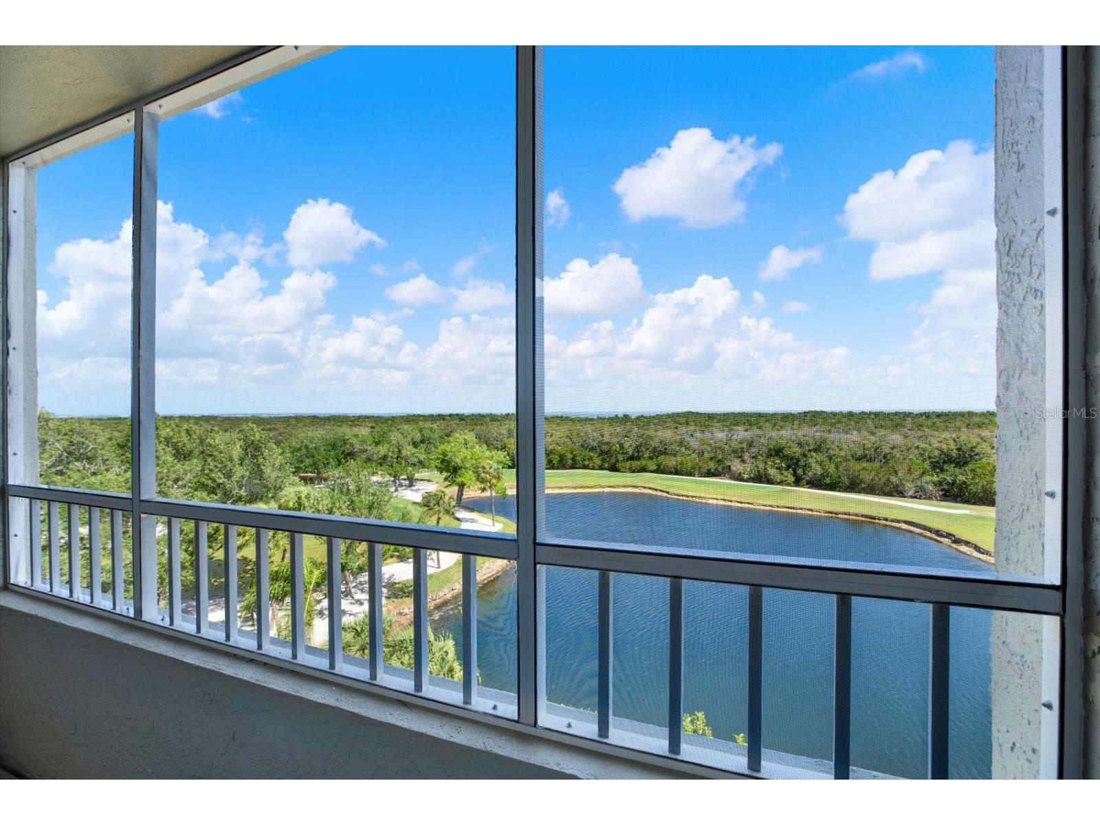 2333 Feather Sound Drive #B507 Clearwater FL 33762 - TAMPA BAY TB8494253 image19