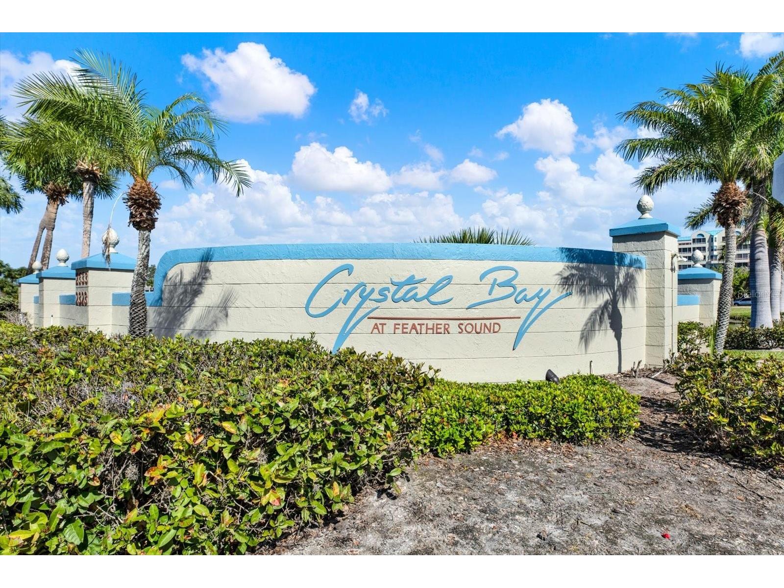 2333 Feather Sound Drive #B507 Clearwater FL 33762 - TAMPA BAY TB8494253 image21