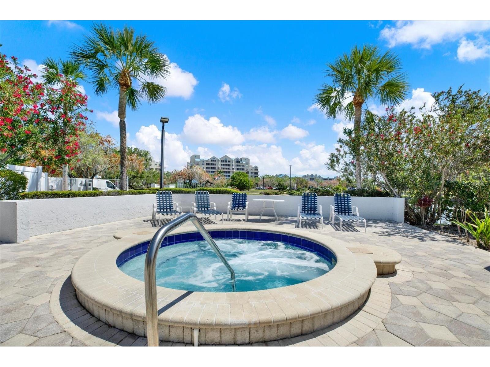 2333 Feather Sound Drive #B507 Clearwater FL 33762 - TAMPA BAY TB8494253 image23