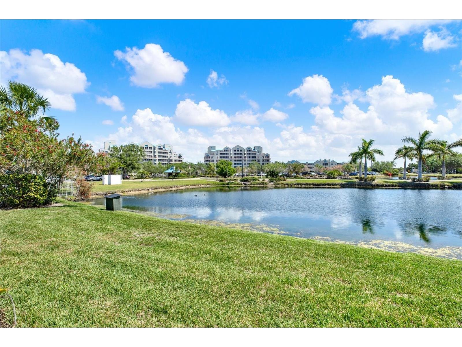 2333 Feather Sound Drive #B507 Clearwater FL 33762 - TAMPA BAY TB8494253 image32