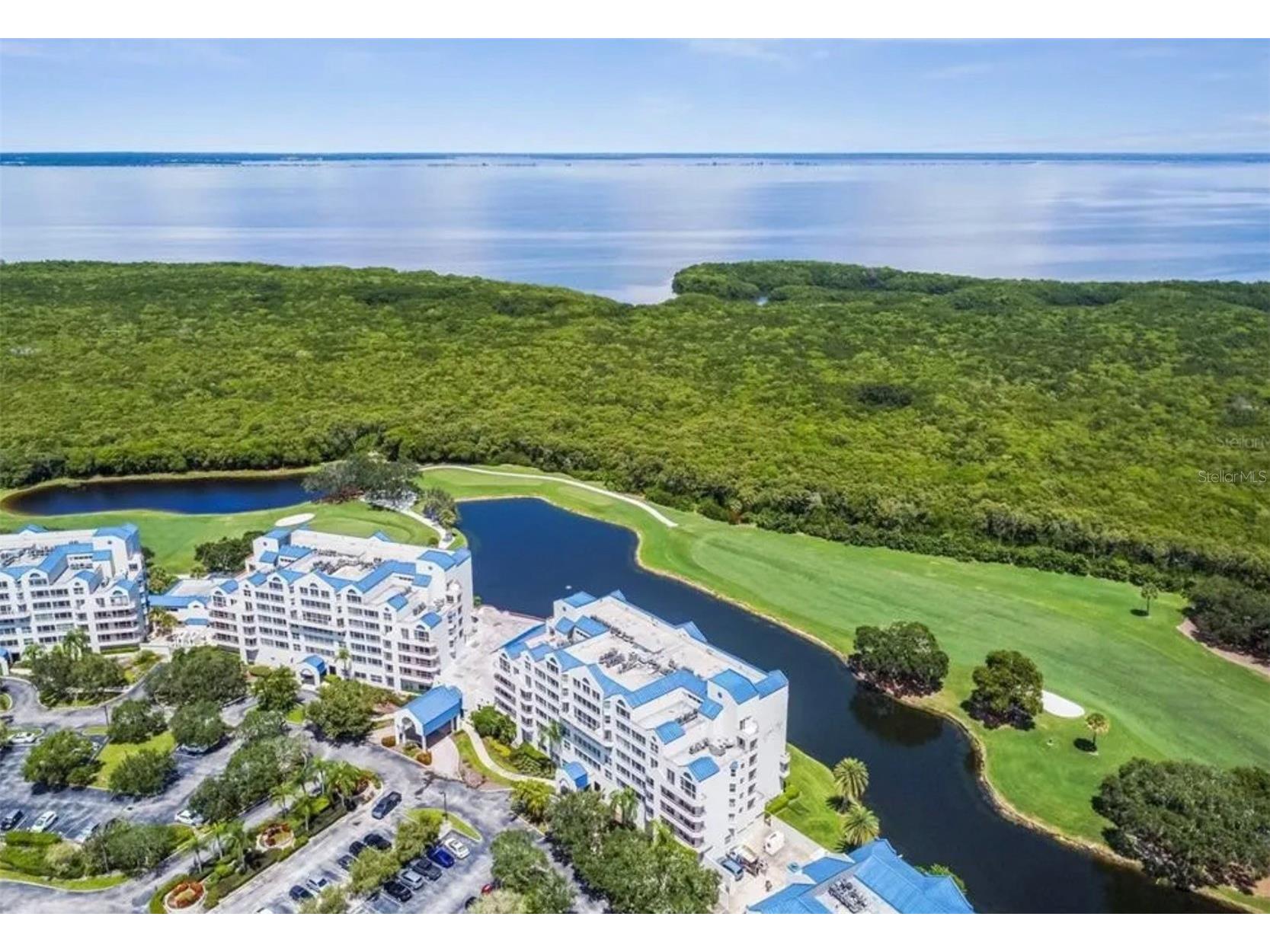 2333 Feather Sound Drive #B507 Clearwater FL 33762 - TAMPA BAY TB8494253 image34