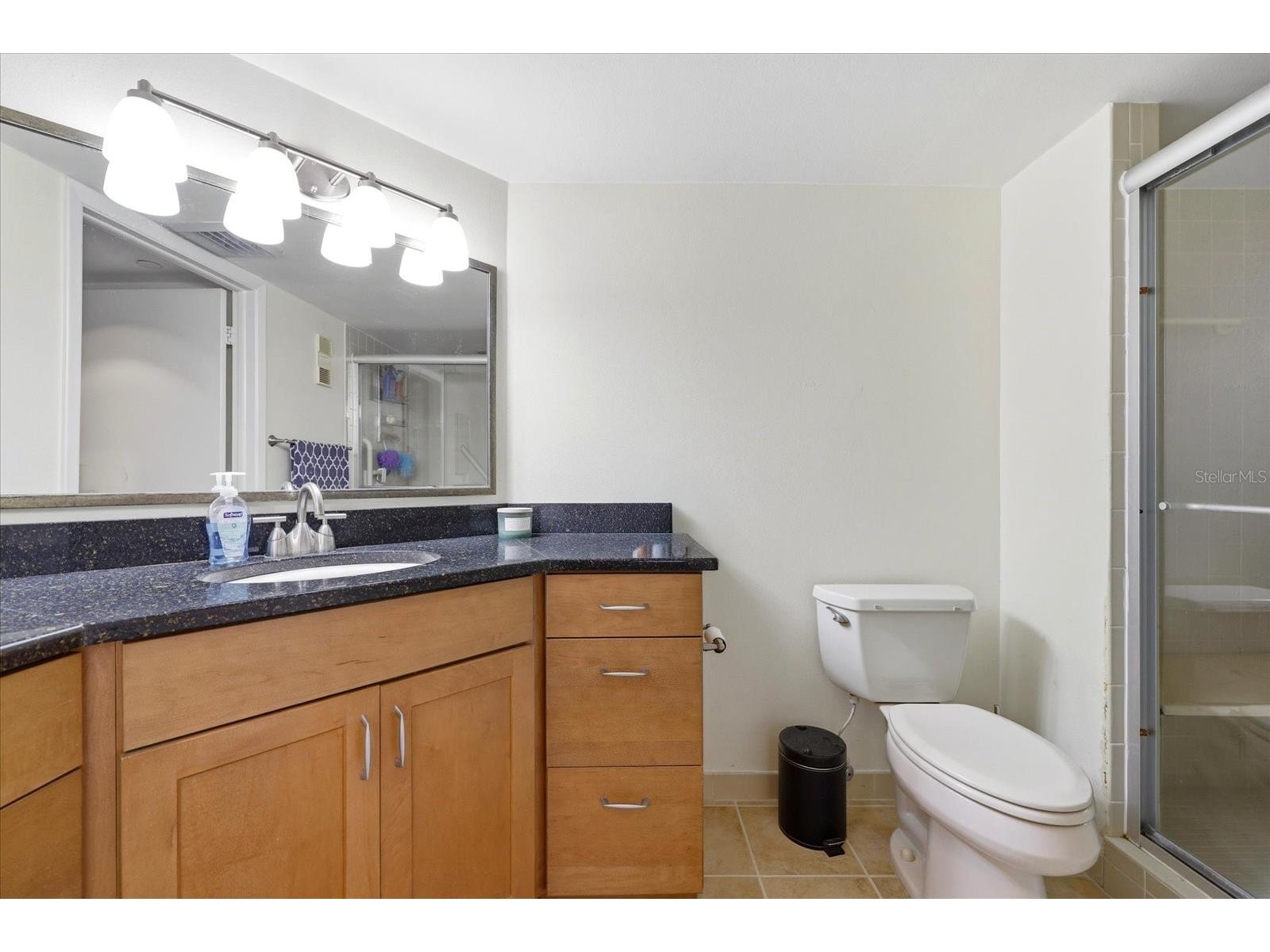 2333 Feather Sound Drive #B603 Clearwater FL 33762 TB8492166 image18