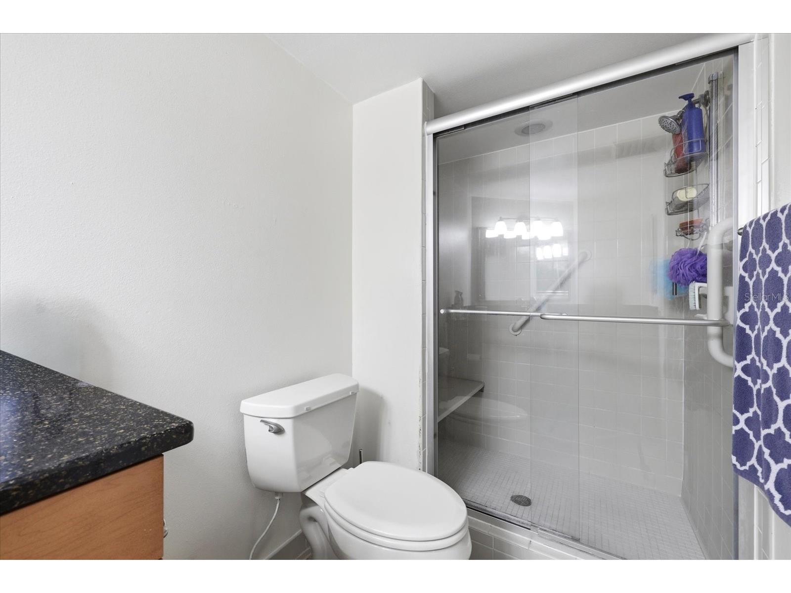 2333 Feather Sound Drive #B603 Clearwater FL 33762 TB8492166 image19
