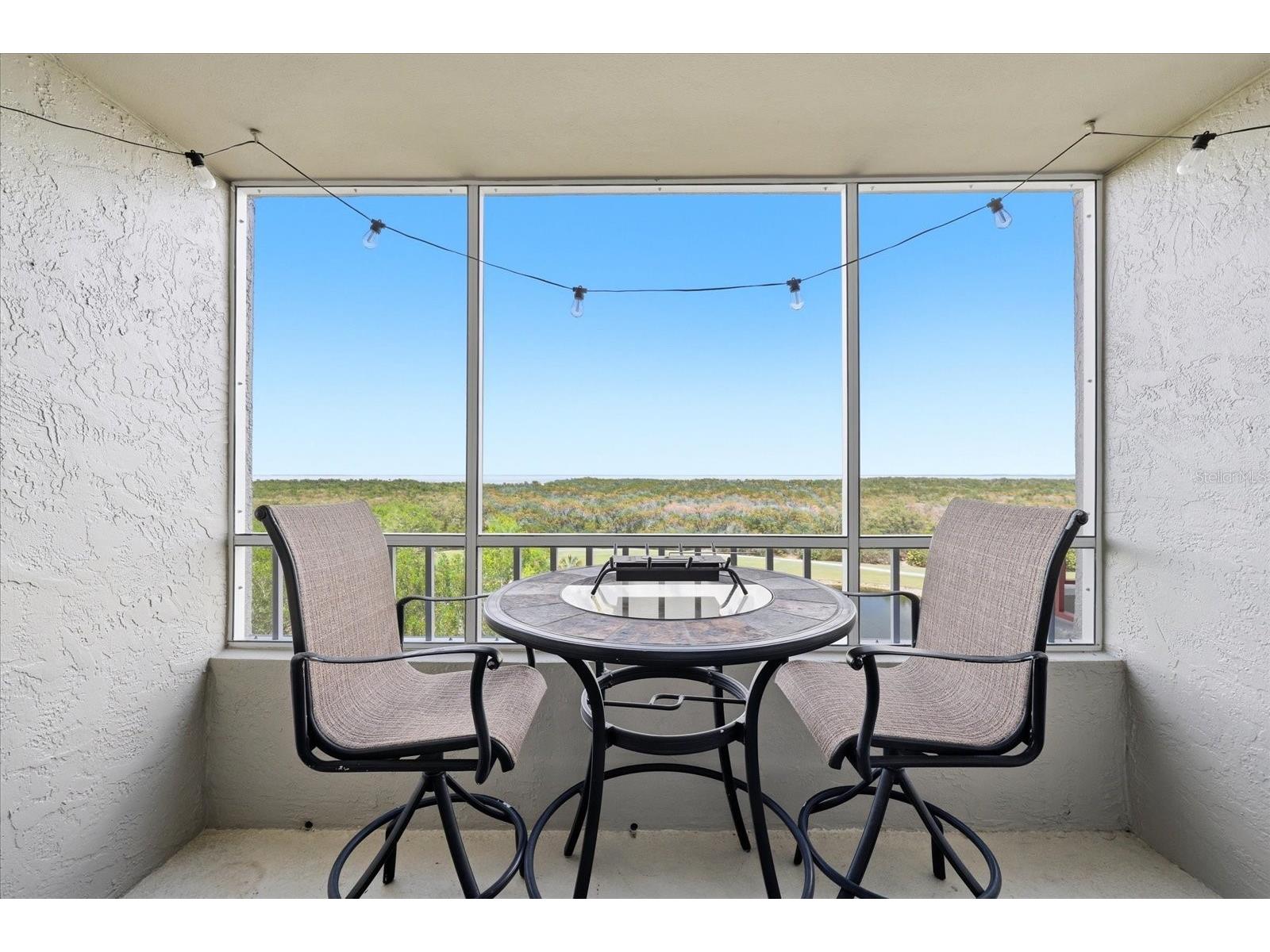 2333 Feather Sound Drive #B603 Clearwater FL 33762 TB8492166 image21