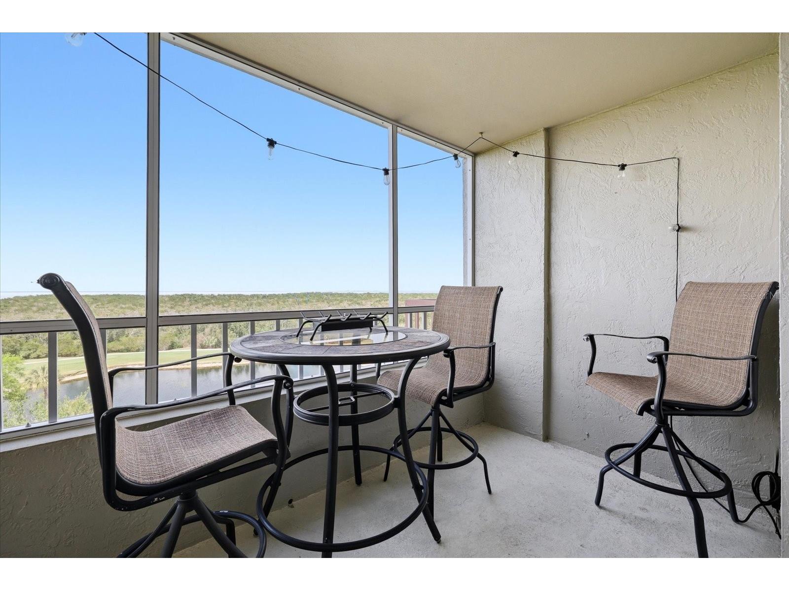 2333 Feather Sound Drive #B603 Clearwater FL 33762 TB8492166 image22