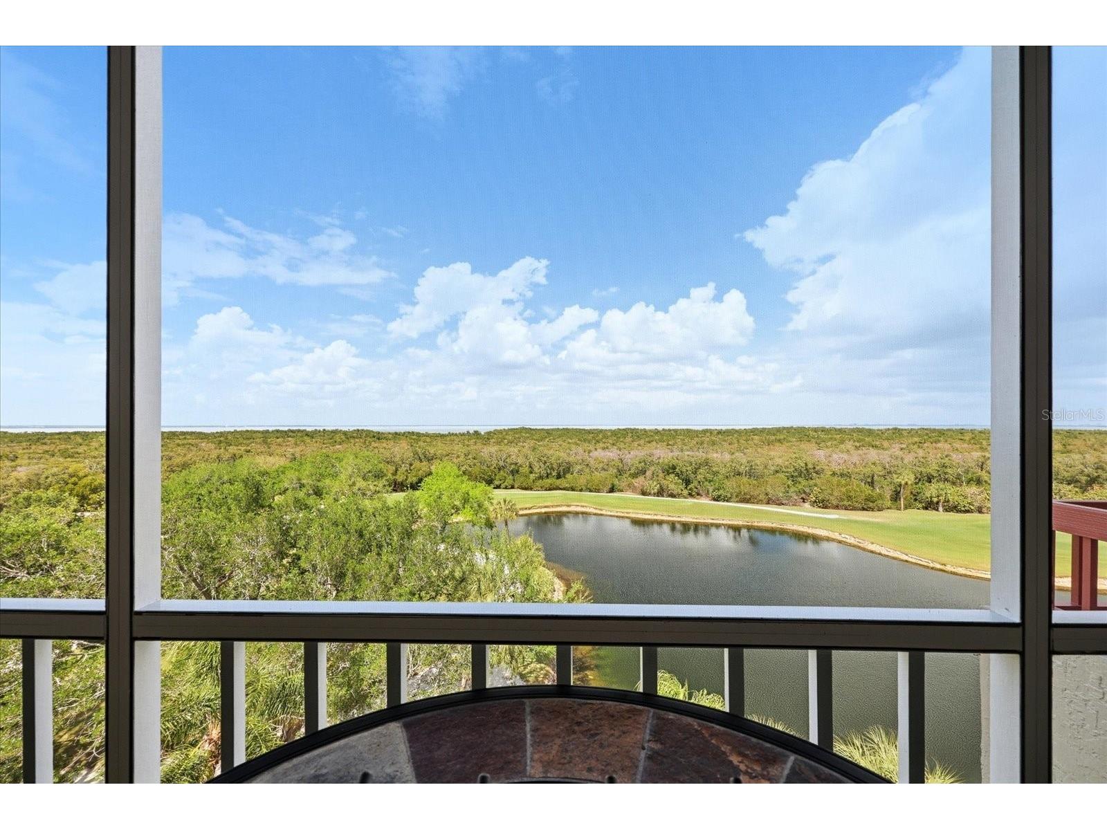 2333 Feather Sound Drive #B603 Clearwater FL 33762 TB8492166 image23