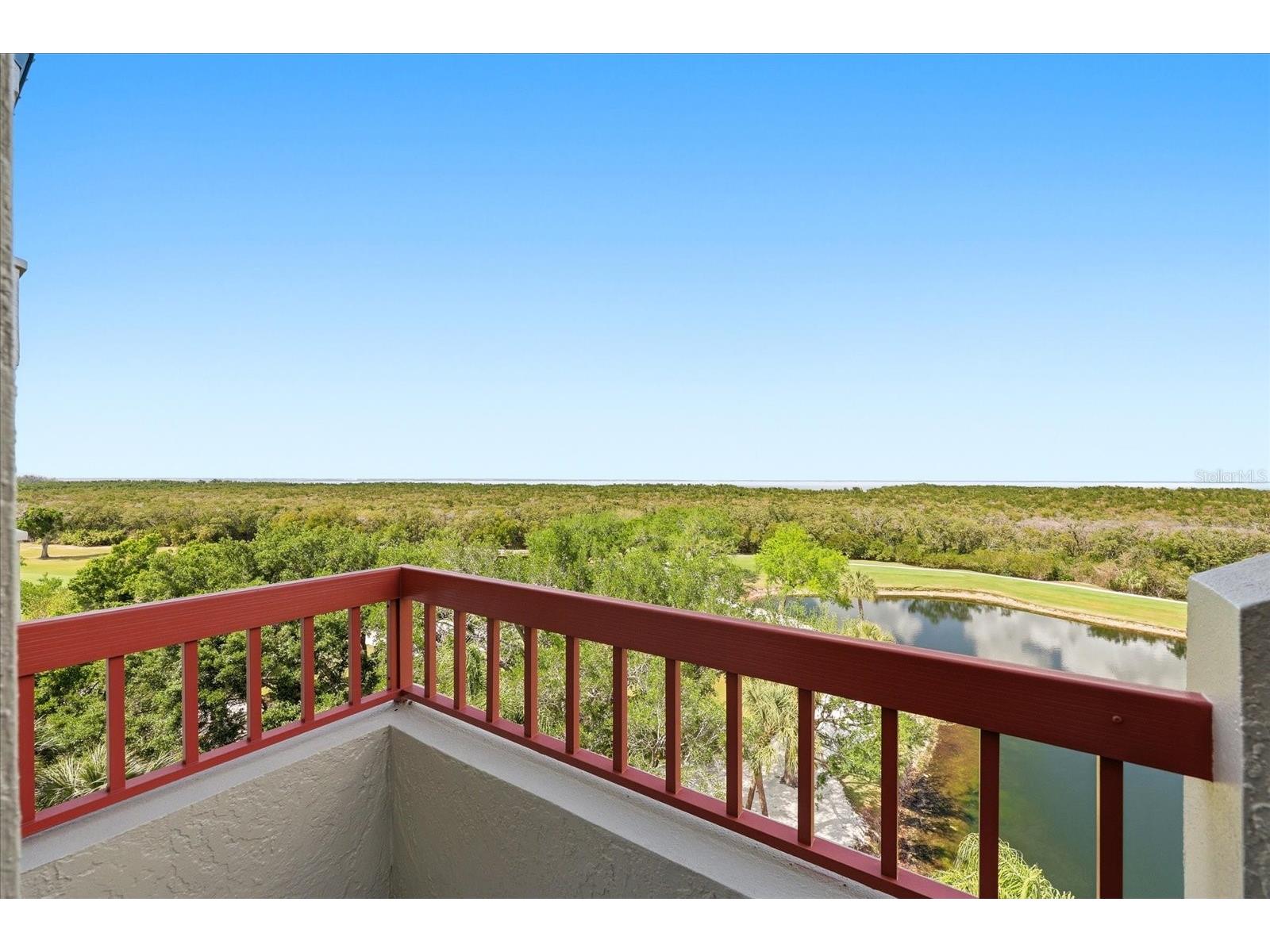 2333 Feather Sound Drive #B603 Clearwater FL 33762 TB8492166 image24