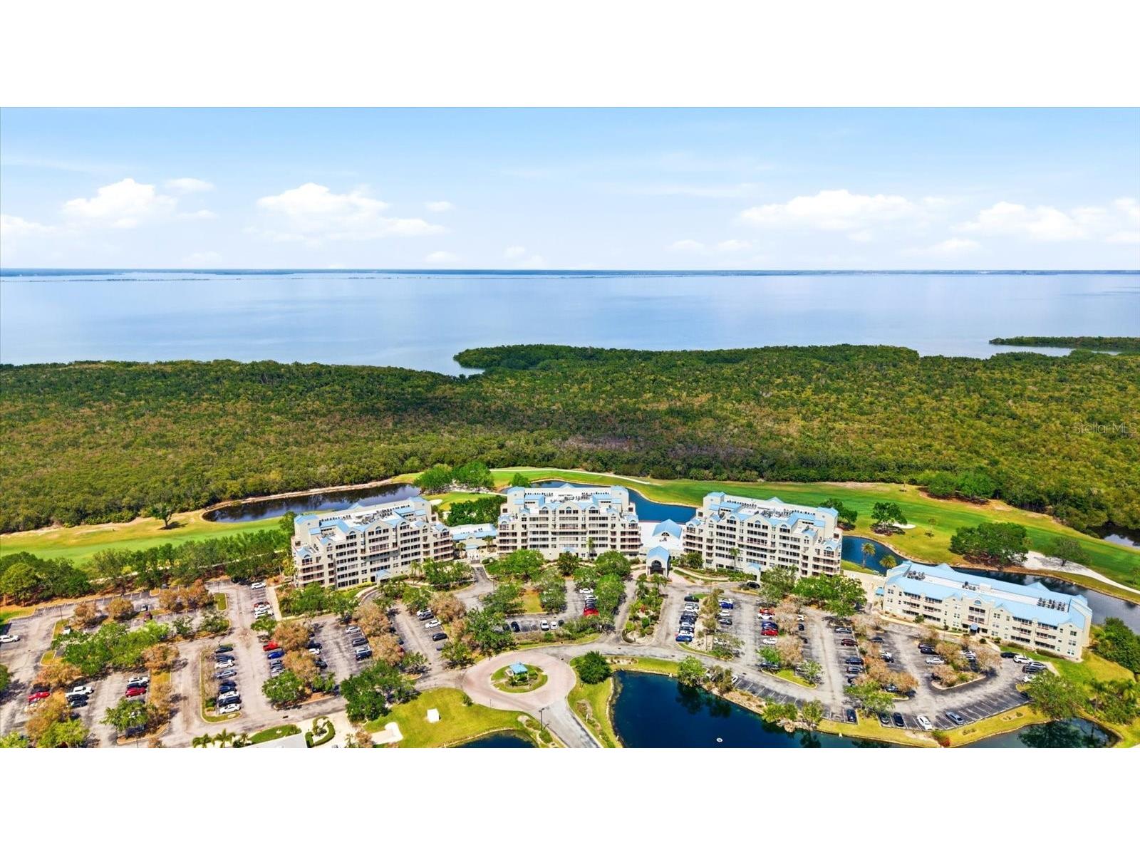 2333 Feather Sound Drive #B603 Clearwater FL 33762 TB8492166 image25