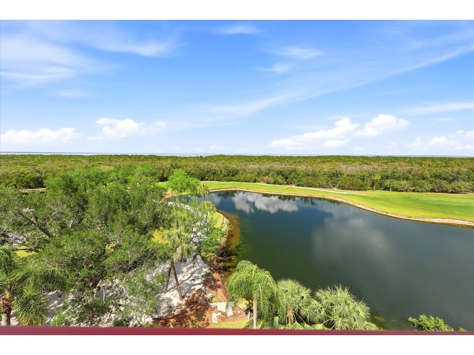 2333 Feather Sound Drive #B603 Clearwater FL 33762 TB8492166 image26