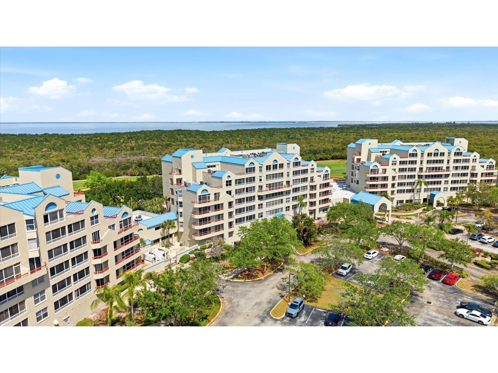 2333 Feather Sound Drive #B603 Clearwater FL 33762 TB8492166 image27
