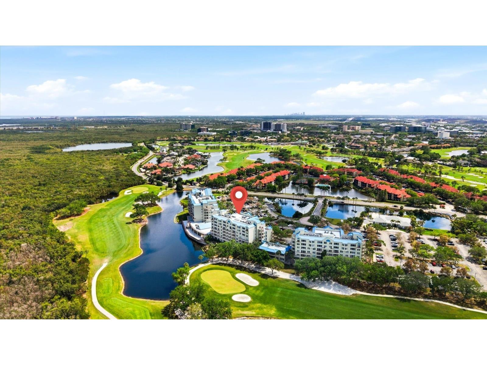 2333 Feather Sound Drive #B603 Clearwater FL 33762 TB8492166 image39