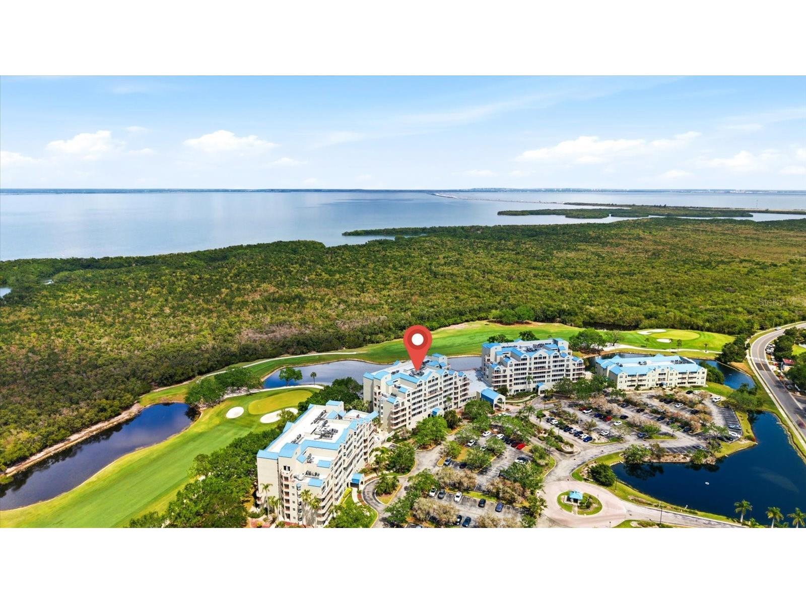 2333 Feather Sound Drive #B603 Clearwater FL 33762 TB8492166 image40
