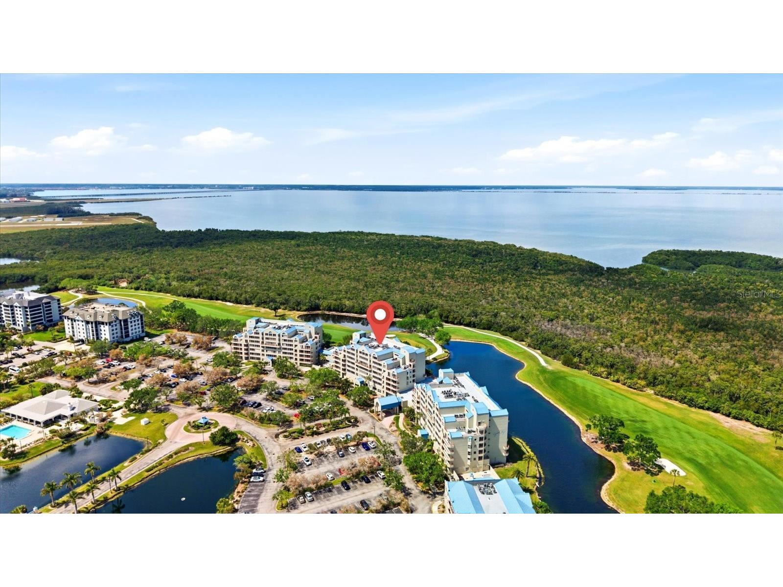 2333 Feather Sound Drive #B603 Clearwater FL 33762 TB8492166 image41