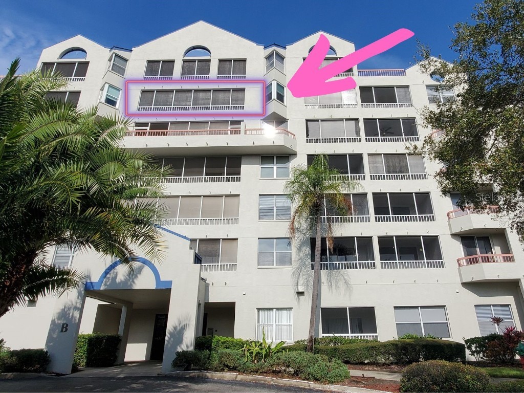 2333 Feather Sound Drive #B608 Clearwater FL 33762 U8186112 image1