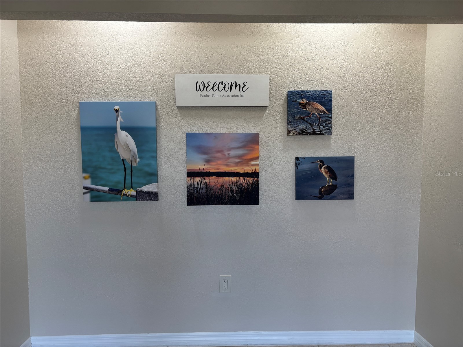2333 Feather Sound Drive #C107 Clearwater FL 33762 - Otter Lake TB8516552 image39