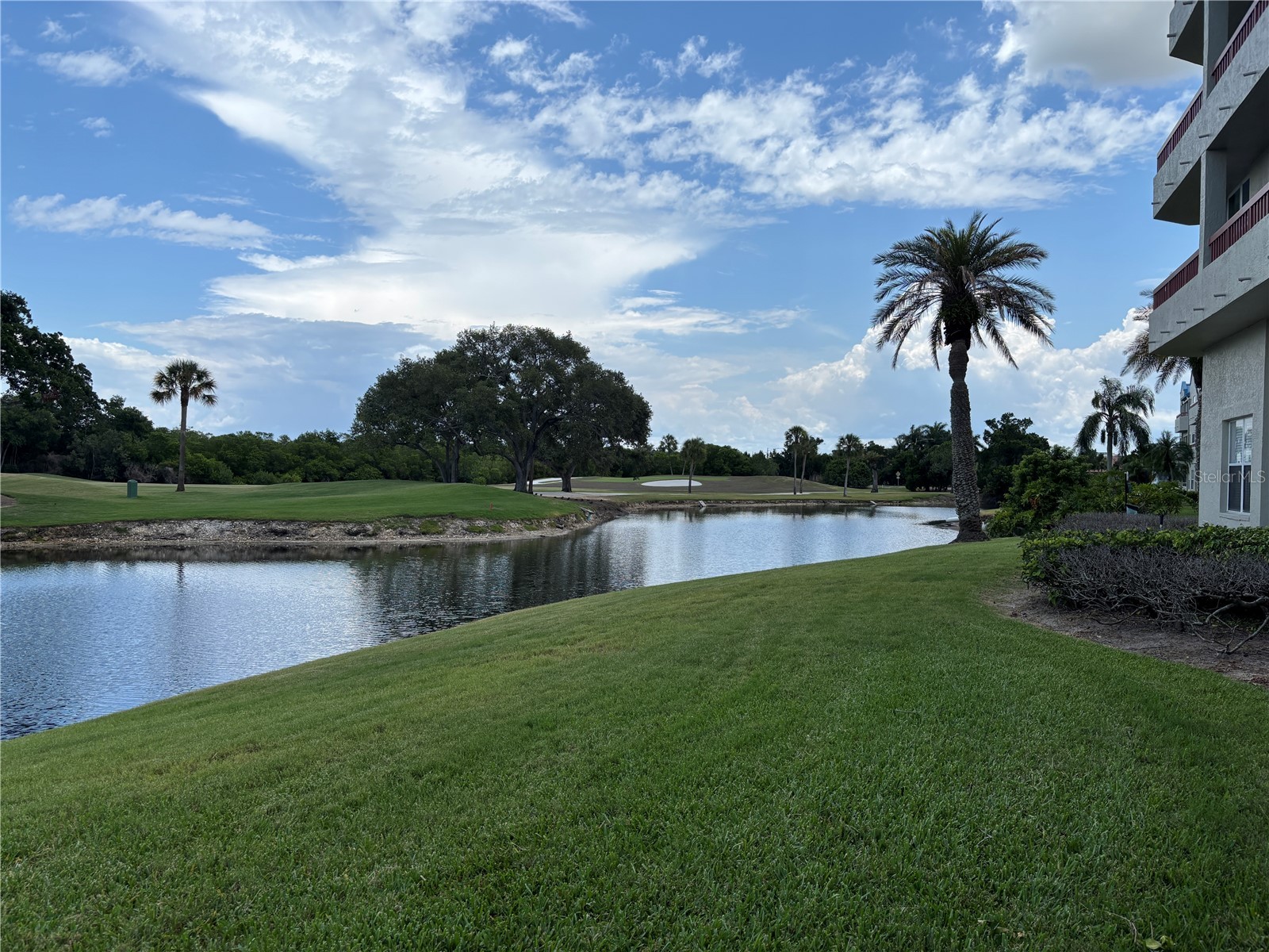 2333 Feather Sound Drive #C107 Clearwater FL 33762 - Otter Lake TB8516552 image53