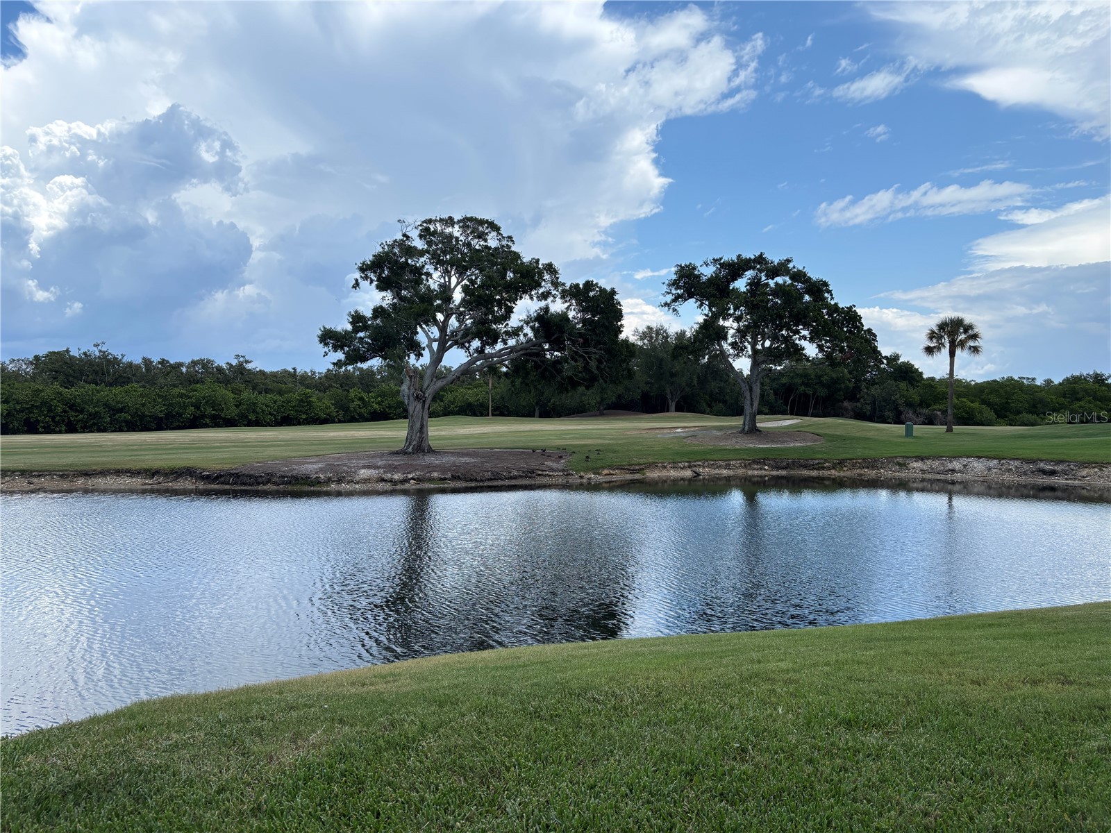 2333 Feather Sound Drive #C107 Clearwater FL 33762 - Otter Lake TB8516552 image54