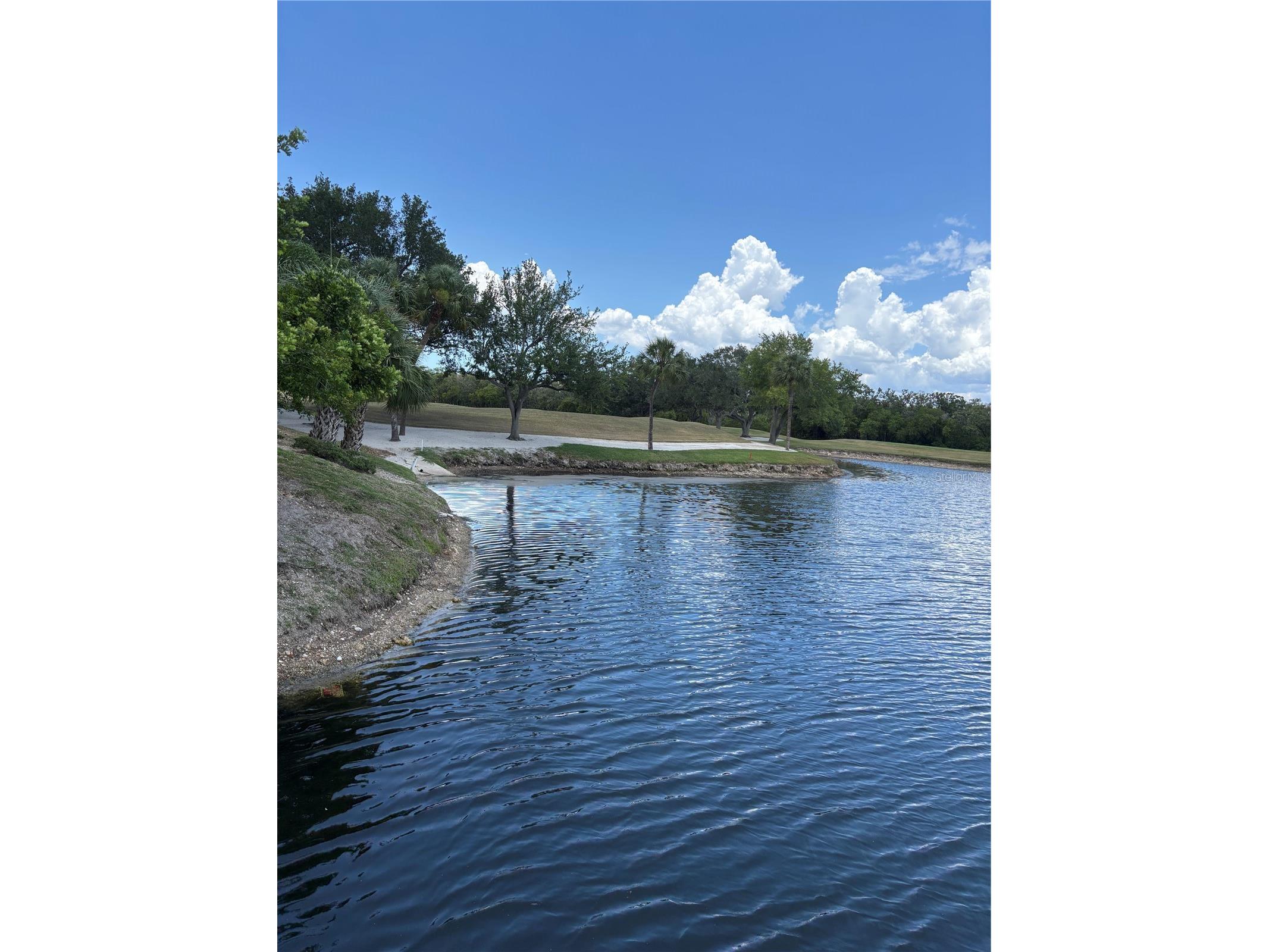 2333 Feather Sound Drive #C107 Clearwater FL 33762 - Otter Lake TB8516552 image55