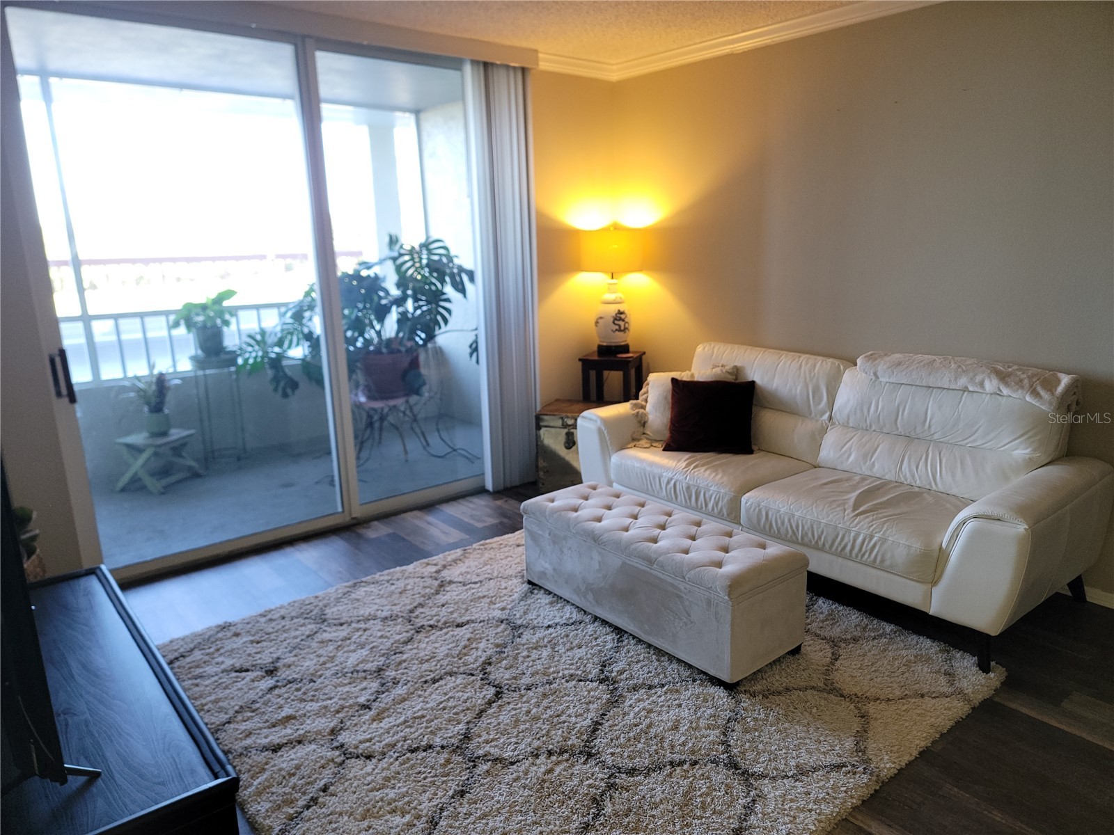 2333 Feather Sound Drive #C201 Clearwater FL 33762 O6376247 image6