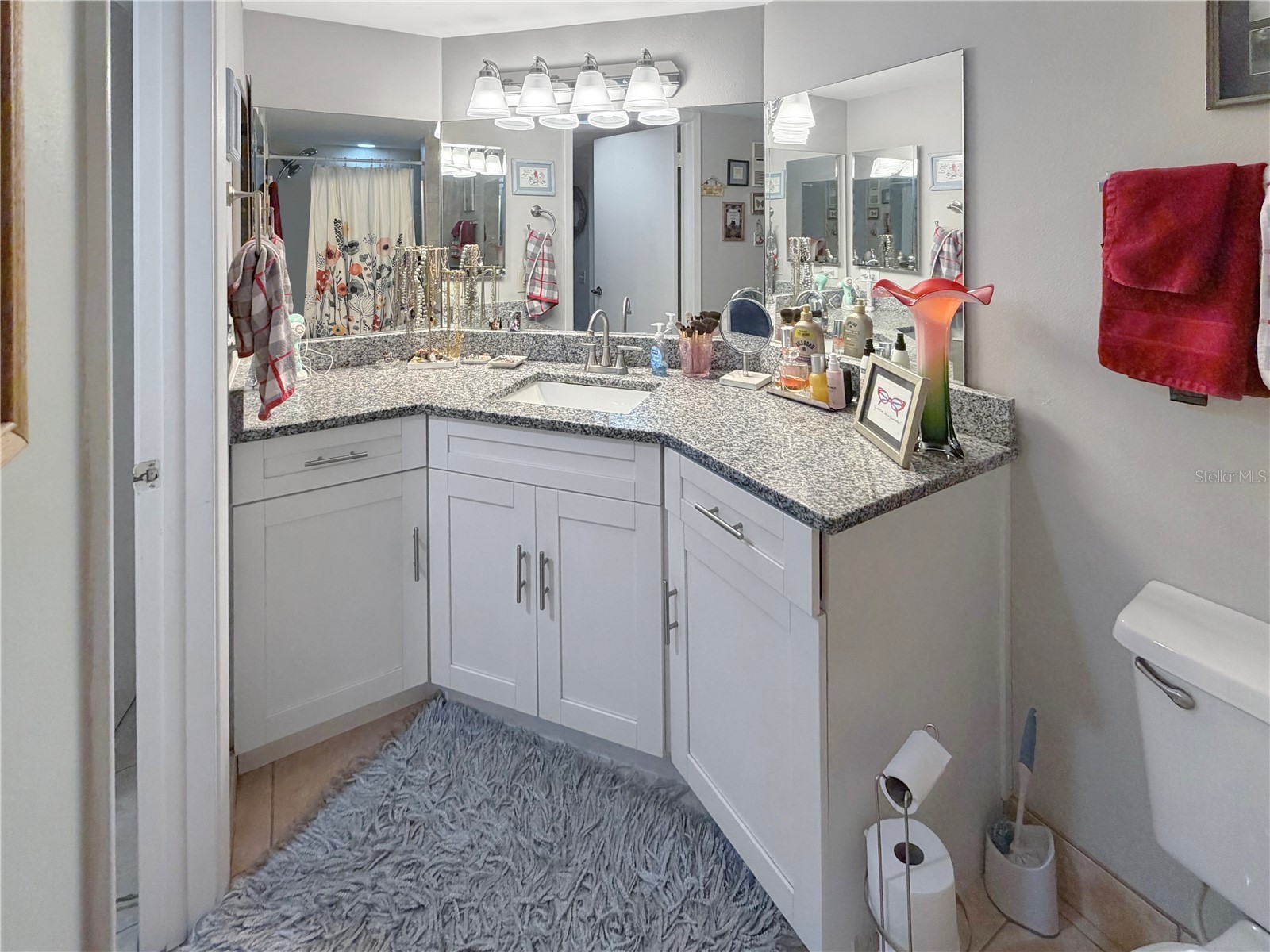 2333 Feather Sound Drive #C206 Clearwater FL 33762 TB8496079 image13