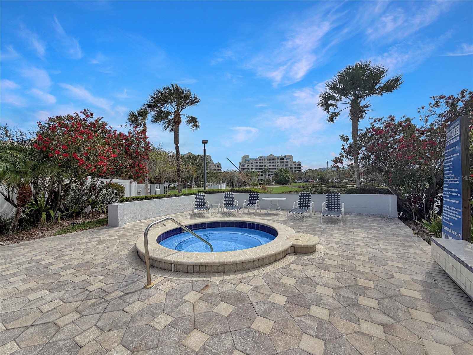 2333 Feather Sound Drive #C206 Clearwater FL 33762 TB8496079 image30