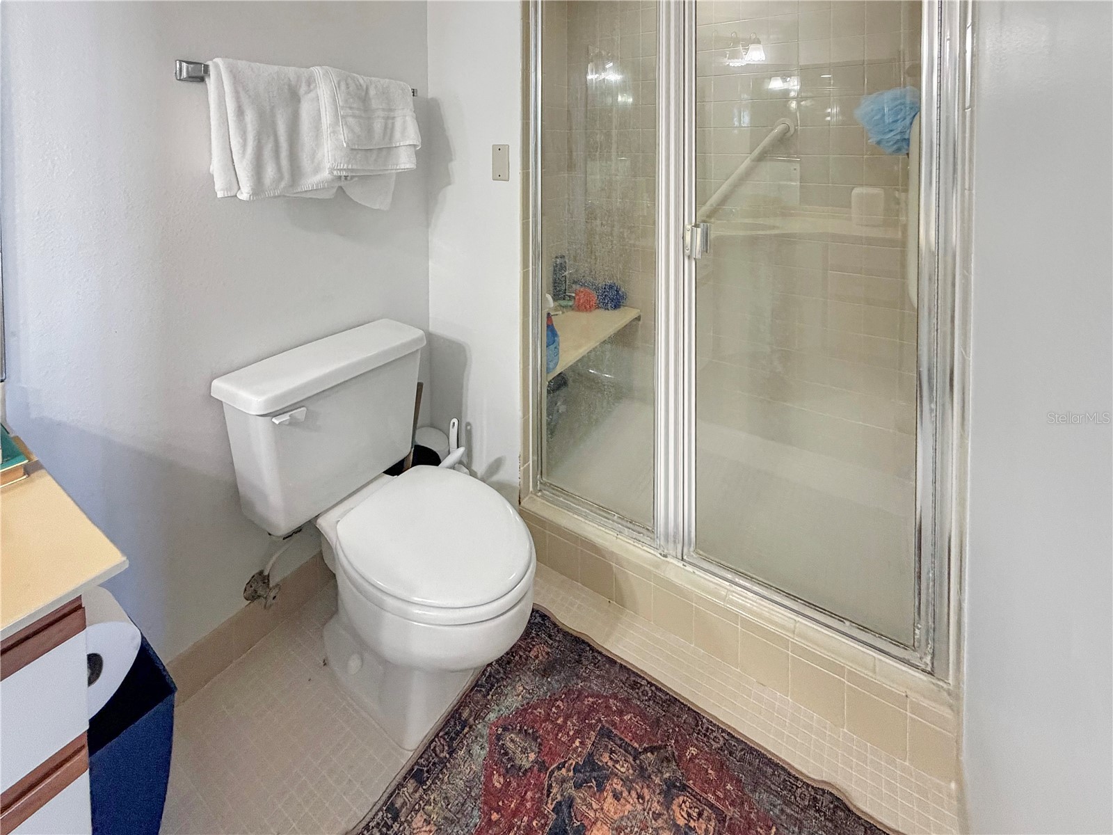 2333 Feather Sound Drive #C507 Clearwater FL 33762 TB8497184 image12
