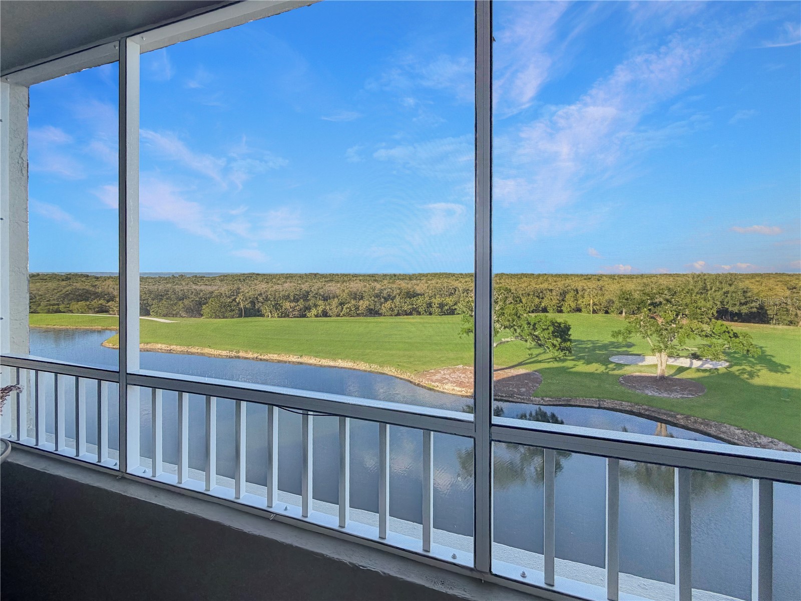 2333 Feather Sound Drive #C507 Clearwater FL 33762 TB8497184 image2
