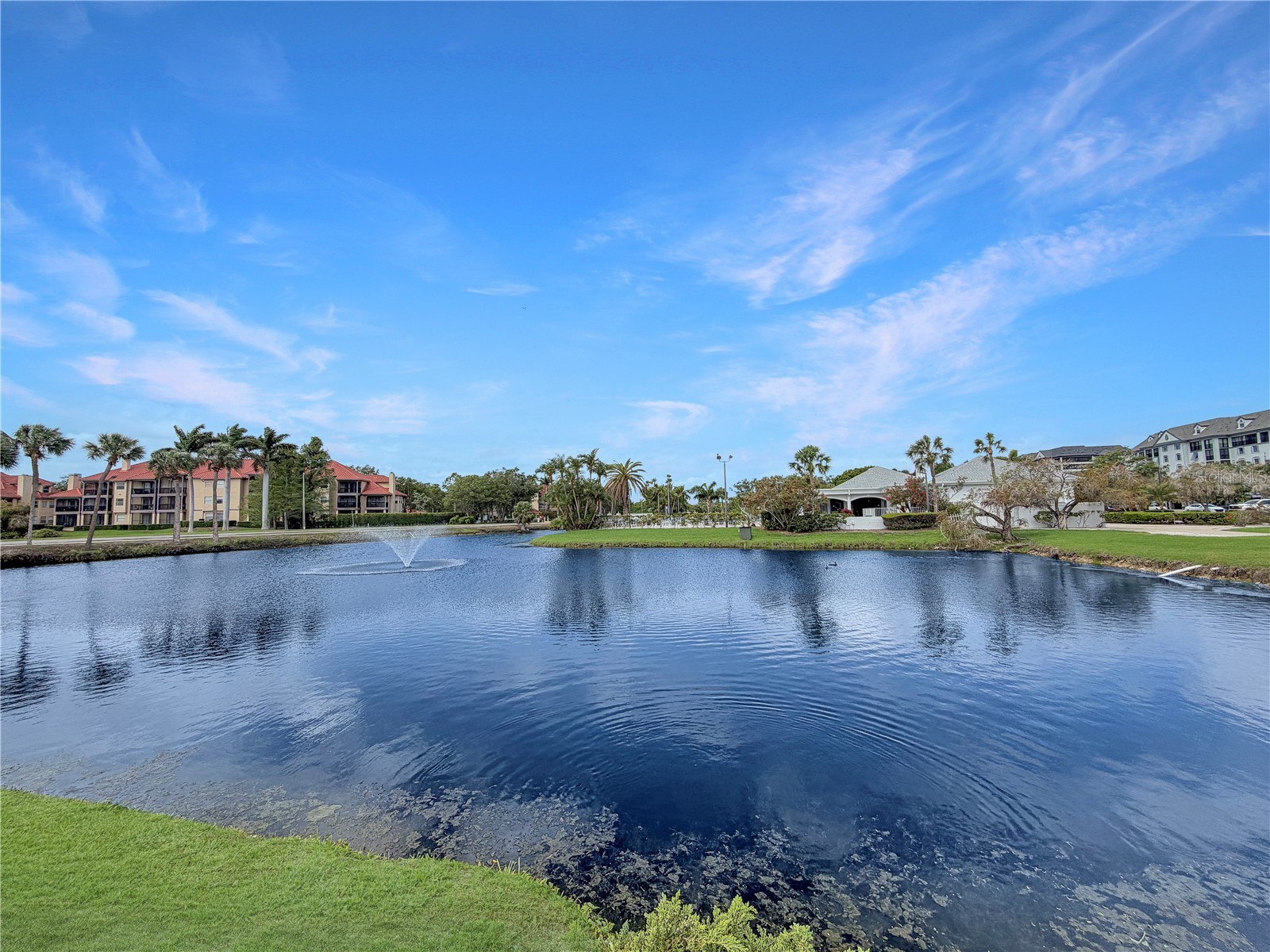 2333 Feather Sound Drive #C507 Clearwater FL 33762 TB8497184 image21