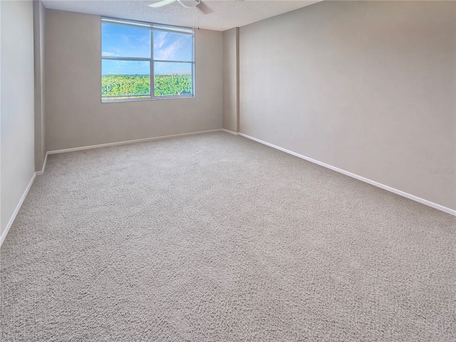 2333 Feather Sound Drive #C507 Clearwater FL 33762 TB8497184 image6