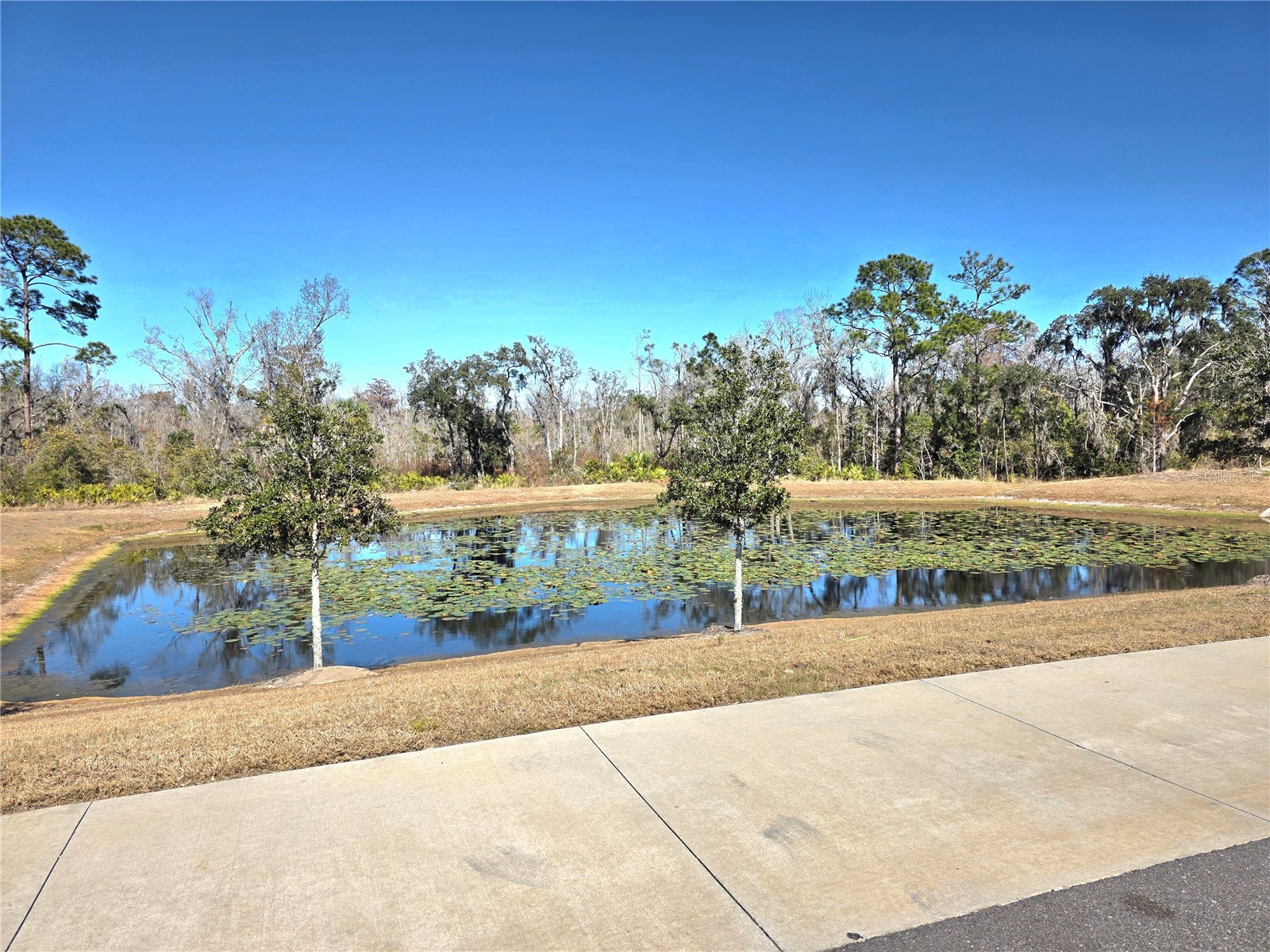 2333 Penguin Boulevard Davenport FL 33837 O6376421 image20