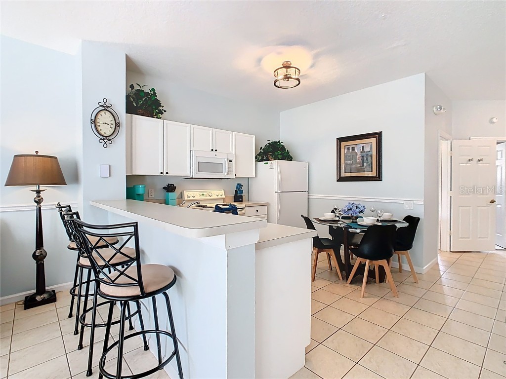 2333 Silver Palm Drive Kissimmee FL 34747 S5138500 image11