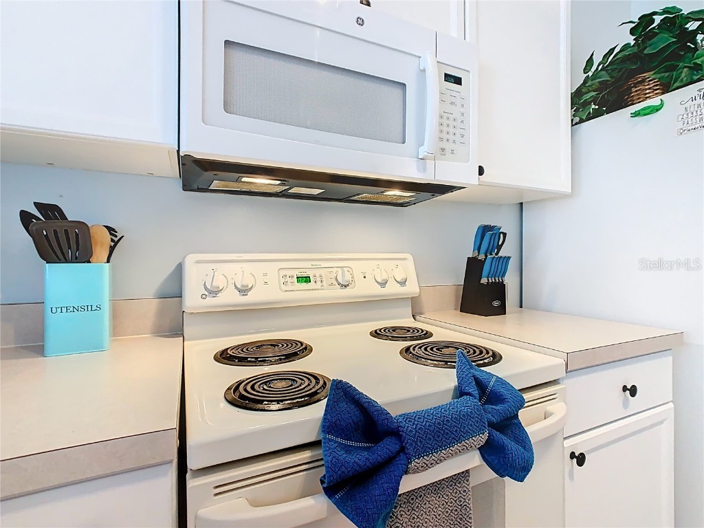 2333 Silver Palm Drive Kissimmee FL 34747 S5138500 image13