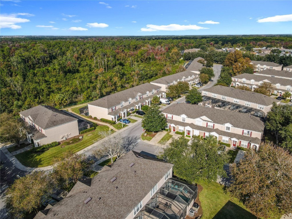 2333 Silver Palm Drive Kissimmee FL 34747 S5138500 image49