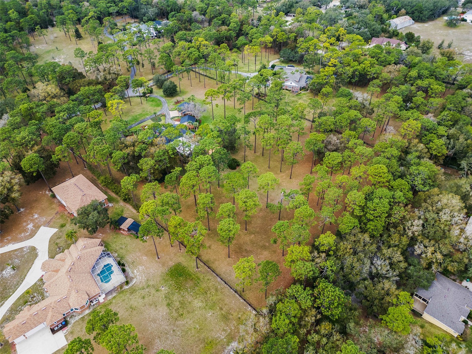 2333 Southern Pines Place Deland FL 32724 NS1087450 image13