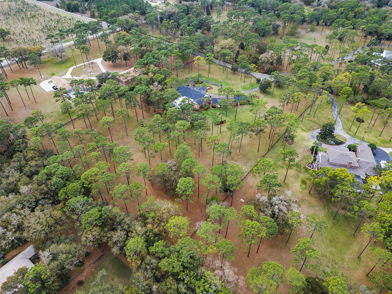2333 Southern Pines Place Deland FL 32724 NS1087450 image14