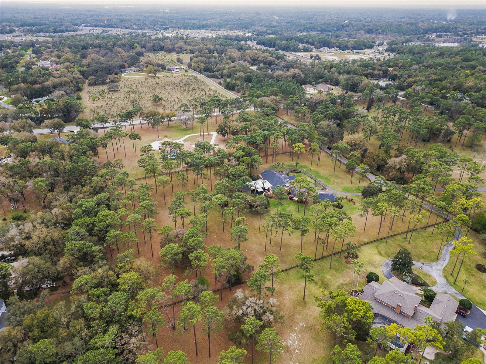 2333 Southern Pines Place Deland FL 32724 NS1087450 image15