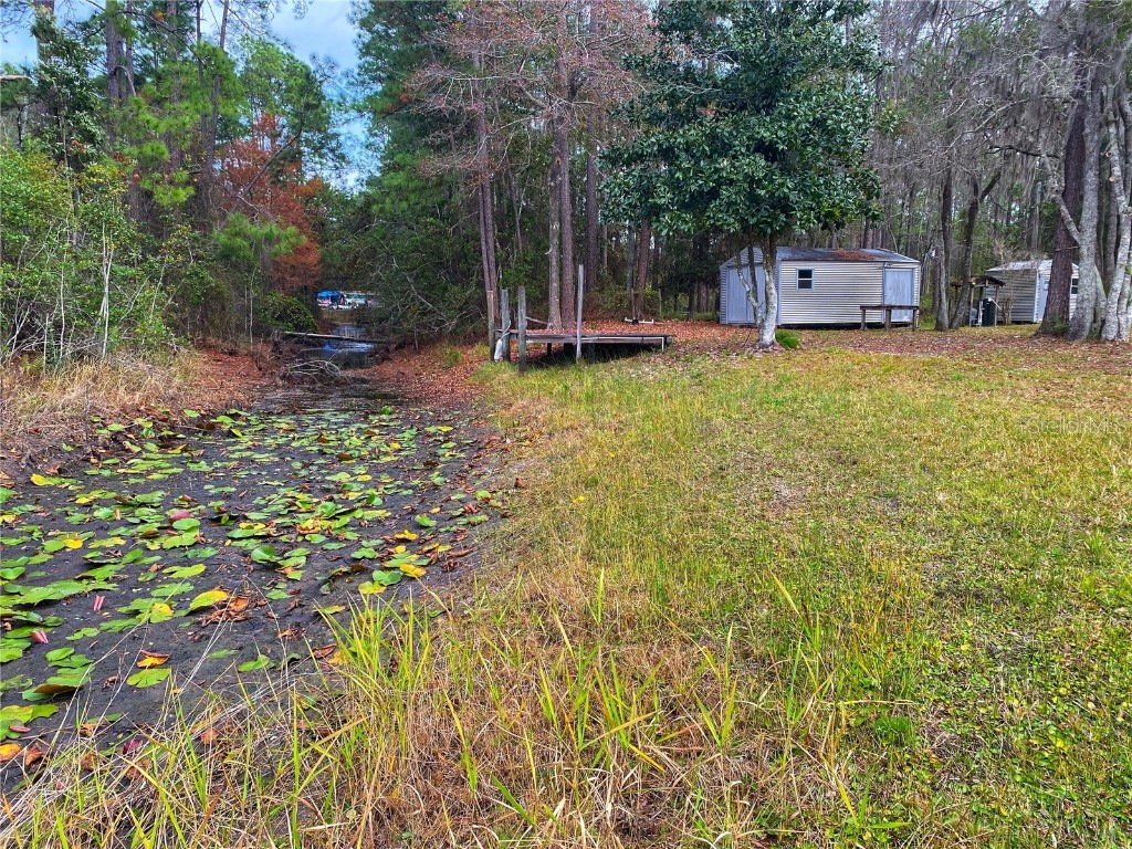 23330 NE 117th Terrace Fort Mc Coy FL 32134 G5105661 image34