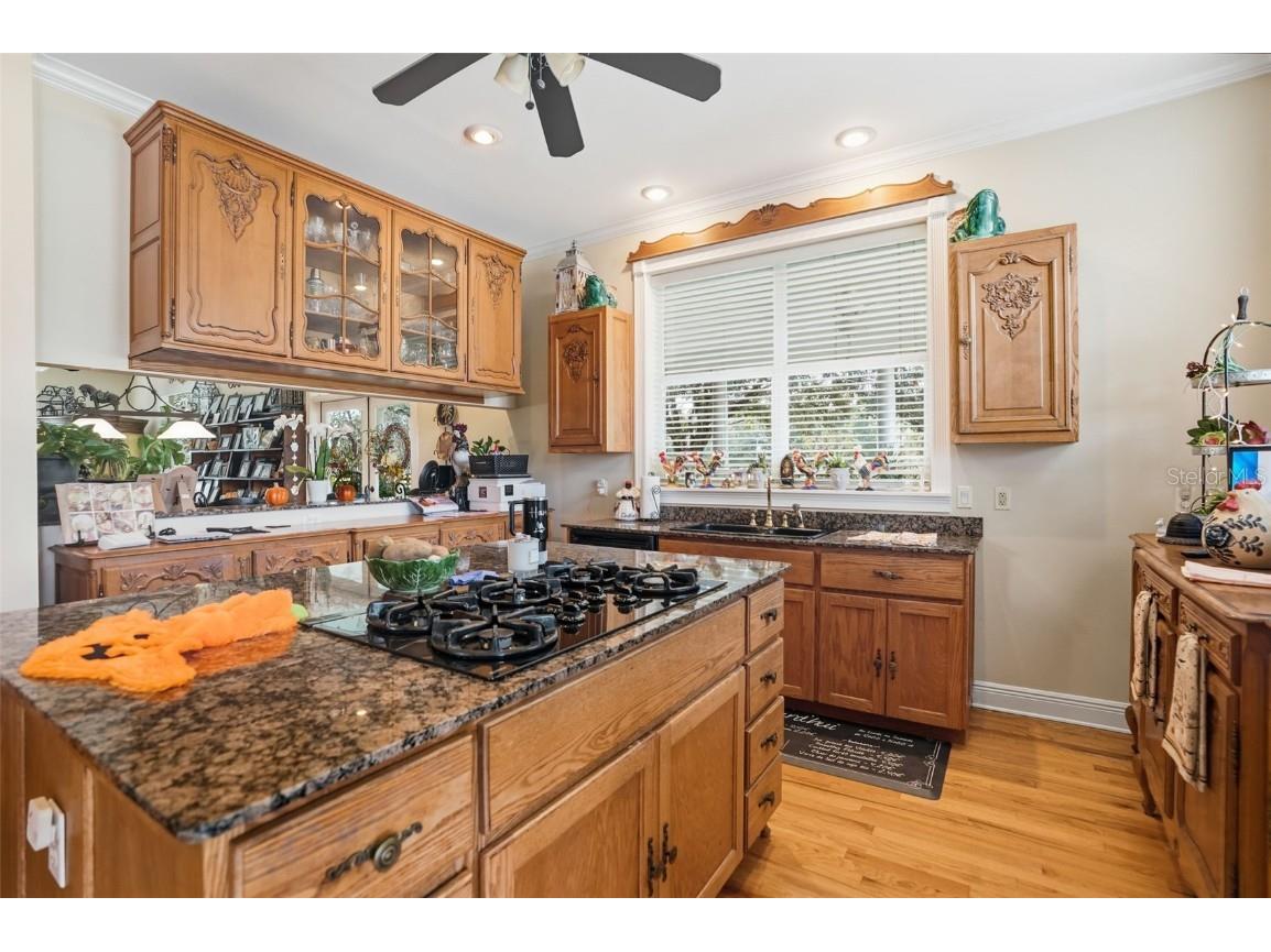 23337 Lake Lindsey Road Brooksville FL 34601 W7880204 image15