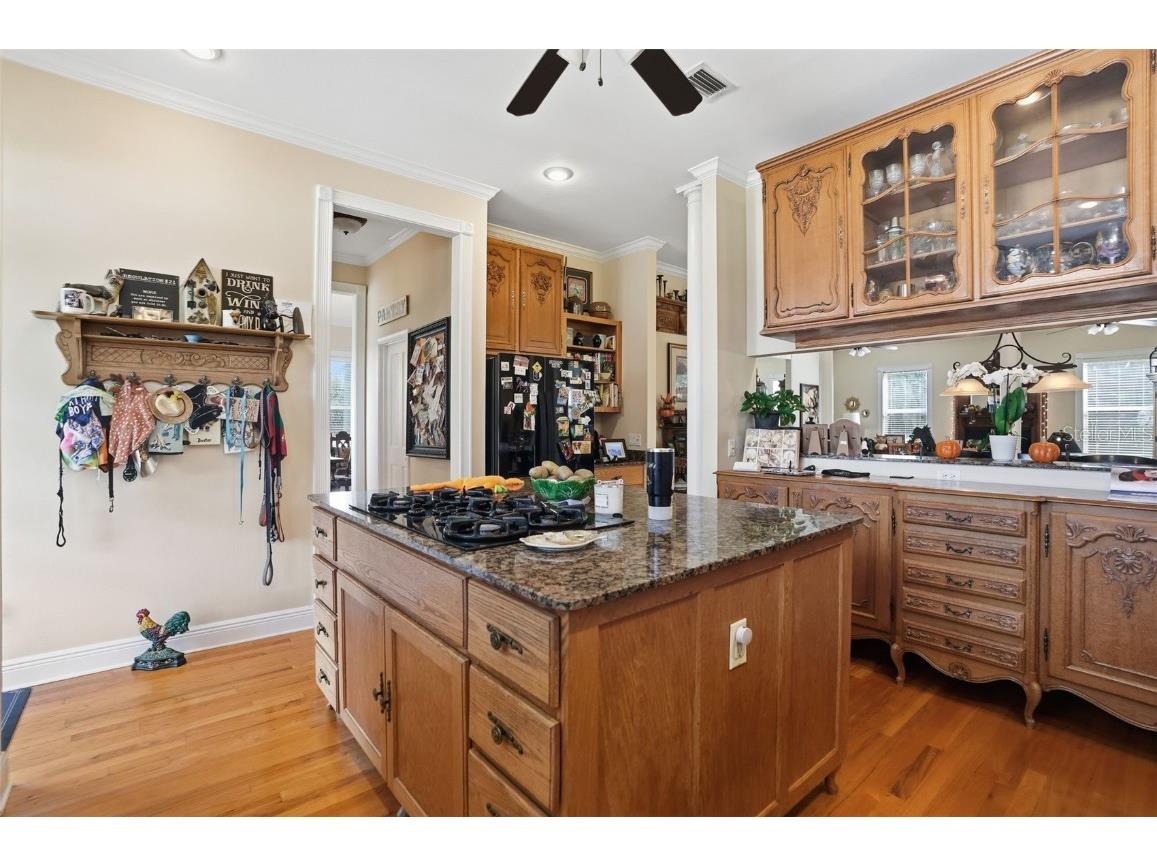 23337 Lake Lindsey Road Brooksville FL 34601 W7880204 image17