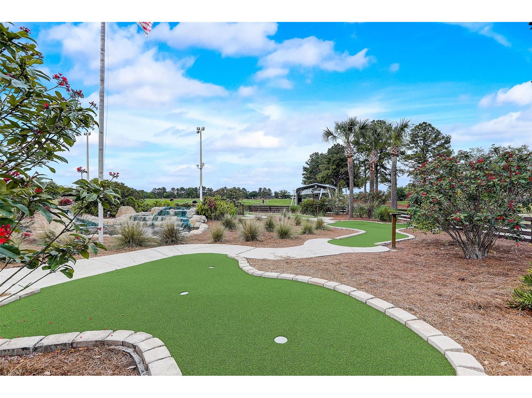 23338 Dinhurst Court Land O Lakes FL 34639 TB8520093 image47
